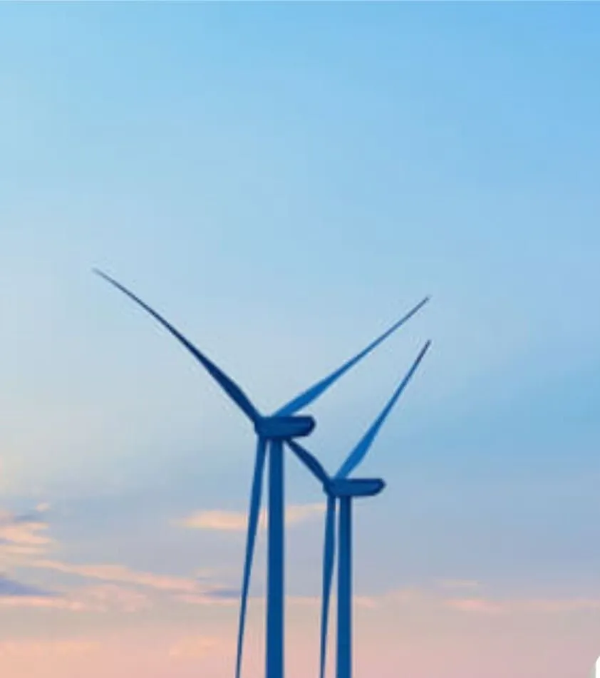 Sustentabilidade e Selo Verde